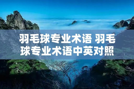 羽毛球专业术语 羽毛球专业术语中英对照 羽毛球专业术语 羽毛球专业术语中英对照