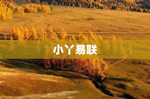 小丫易联：实现便捷高效的商务通讯