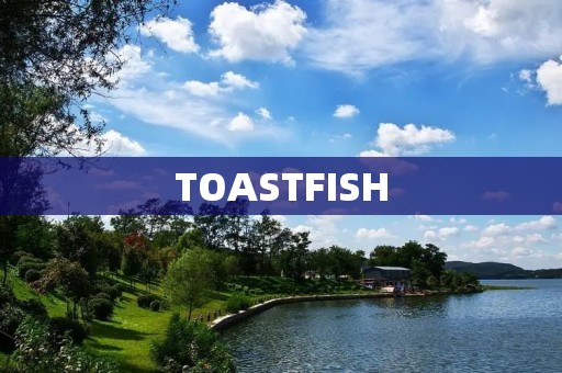TOASTFISH：一种美味又健康的烤鱼新选择