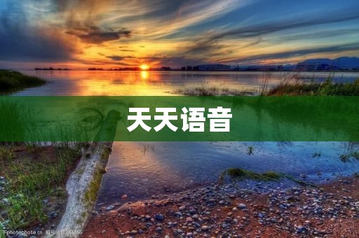天天语音：打破距离，畅享交流