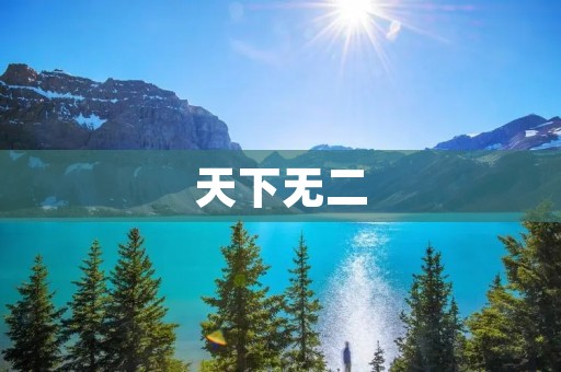 天下无二:探寻独一无二的魅力