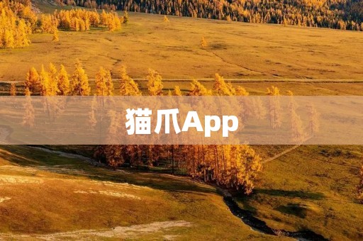 猫爪App:打造宠物爱好者的社交新平台 猫爪App:打造宠物爱好者的社交新平台