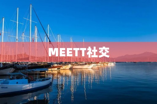 MEETT社交:连接你和世界的桥梁 MEETT社交:连接你和世界的桥梁