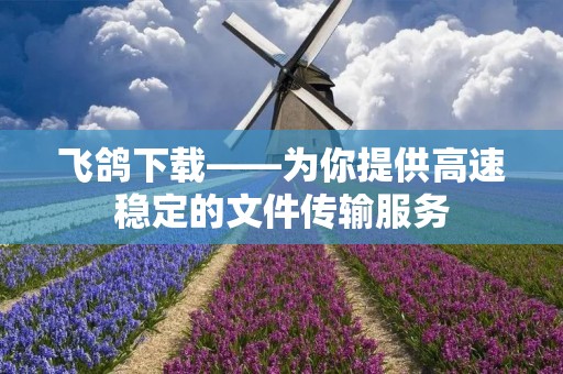 飞鸽下载——为你提供高速稳定的文件传输服务