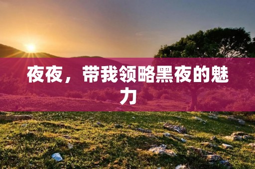 夜夜，带我领略黑夜的魅力