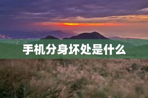 手机分身坏处是什么