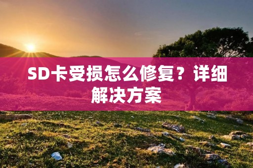SD卡受损怎么修复？详细解决方案