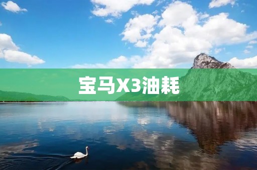 宝马X3油耗:实用性与经济性的完美结合 宝马X3油耗:实用性与经济性的完美结合