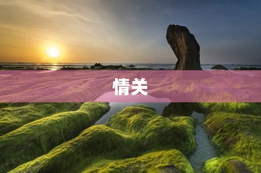 情关:爱与关怀的纽带 情关:爱与关怀的纽带