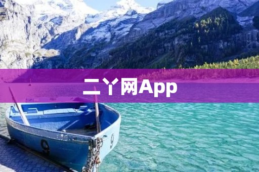 二丫网App:一站式生活服务平台,解决你的各种需求 二丫网App:一站式生活服务平台,解决你的各种需求