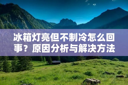 冰箱灯亮但不制冷怎么回事?原因分析与解决方法 冰箱灯亮但不制冷怎么回事?原因分析与解决方法