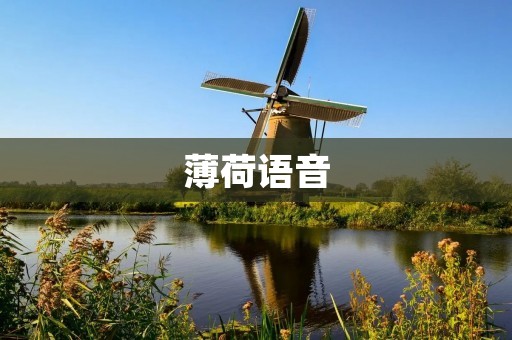 薄荷语音:让你的手机变身智能语音助手 薄荷语音:让你的手机变身智能语音助手