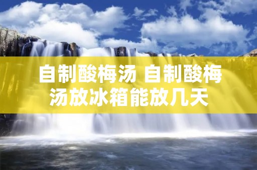 自制酸梅汤 自制酸梅汤放冰箱能放几天