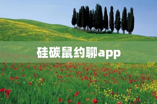 硅碳鼠约聊app：打破界限，开启全新社交体验