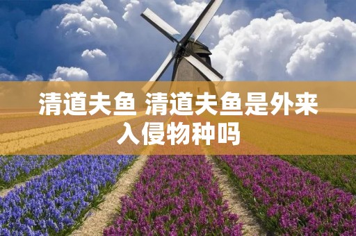 清道夫鱼 清道夫鱼是外来入侵物种吗