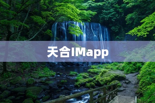 天合IMapp:打造高效沟通与协作的智能工具 天合IMapp:打造高效沟通与协作的智能工具