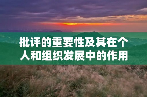 批评的重要性及其在个人和组织发展中的作用
