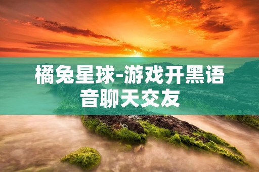 橘兔星球-游戏开黑语音聊天交友:打破孤单,畅享游戏乐趣! 橘兔星球-游戏开黑语音聊天交友:打破孤单,畅享游戏乐趣!