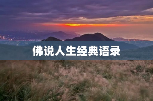 佛说人生经典语录:探寻内心的智慧与力量