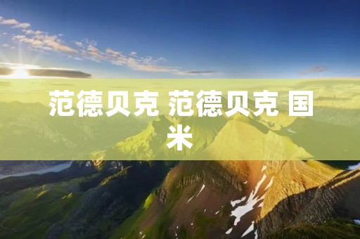 范德贝克 范德贝克 国米