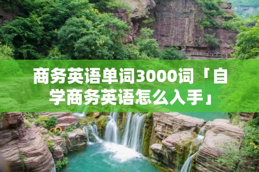 商务英语单词3000词「自学商务英语怎么入手」