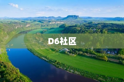 D6社区:连接你与未来的创新社交平台 D6社区:连接你与未来的创新社交平台