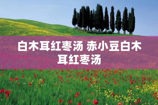 白木耳红枣汤 赤小豆白木耳红枣汤