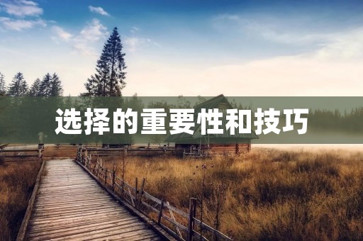 选择的重要性和技巧