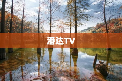 潘达TV:给你全新的视听体验 潘达TV:给你全新的视听体验