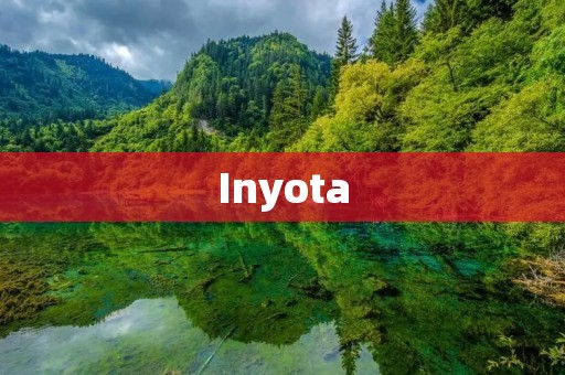Inyota：连接智能未来