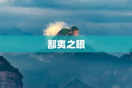 鄙夷之眼:揭示社交媒体虚假繁荣的真相