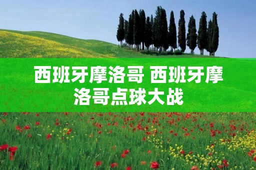 西班牙摩洛哥 西班牙摩洛哥点球大战