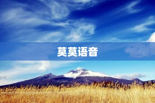莫莫语音：打破语言壁垒，畅享全球交流