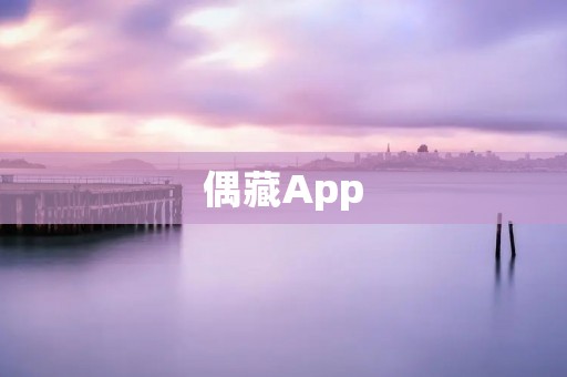 偶藏App:轻松管理你的珍藏 偶藏App:轻松管理你的珍藏