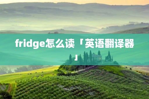 fridge怎么读「英语翻译器」