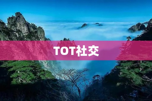 TOT社交:连接你我他的全新社交体验 TOT社交:连接你我他的全新社交体验