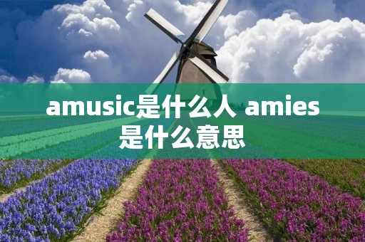 amusic是什么人 amies是什么意思