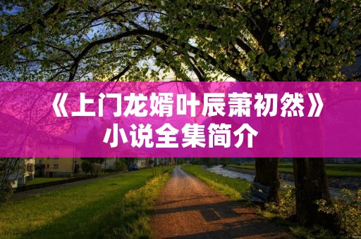 《上门龙婿叶辰萧初然》小说全集简介