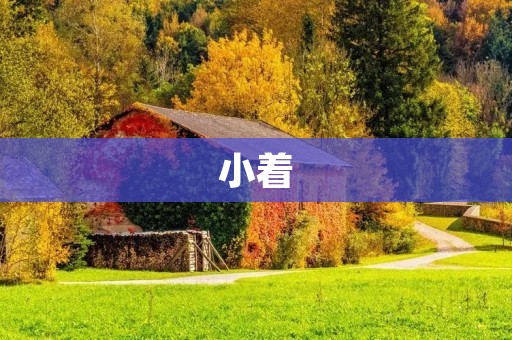小着：时尚与舒适并存的时尚搭配选择