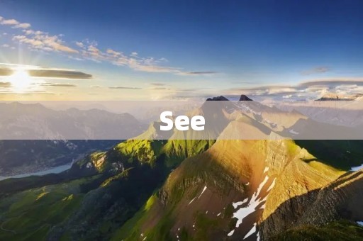 See:探索视觉世界的奇妙之旅 See:探索视觉世界的奇妙之旅