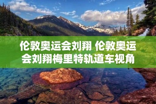 伦敦奥运会刘翔 伦敦奥运会刘翔梅里特轨道车视角