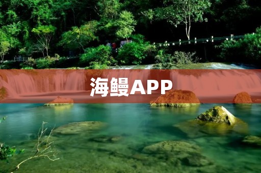 海鳗APP：探索海洋世界的窗口