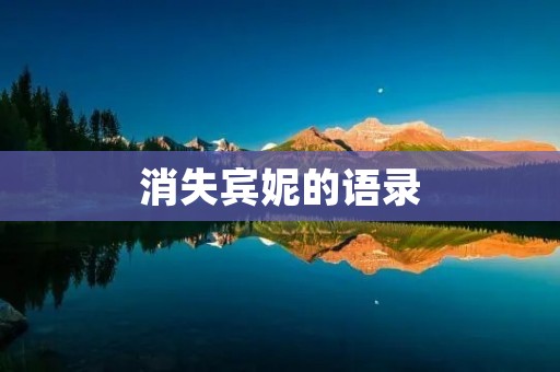 消失宾妮的语录：探索人生的真实意义与存在
