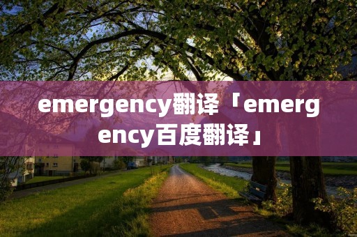 emergency翻译「emergency百度翻译」