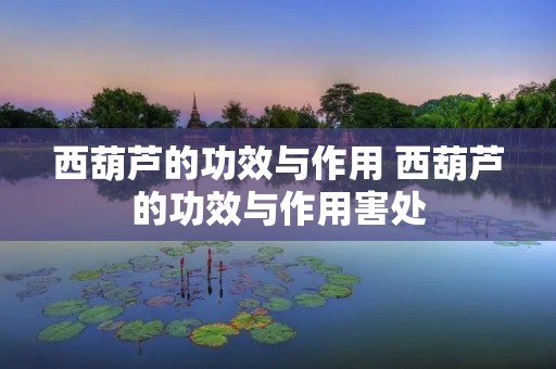 西葫芦的功效与作用 西葫芦的功效与作用害处