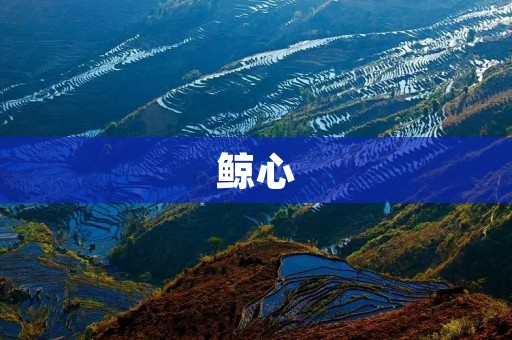 鲸心:大海深处的永恒守护者 鲸心:大海深处的永恒守护者