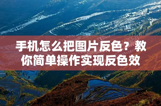 手机怎么把图片反色?教你简单操作实现反色效果