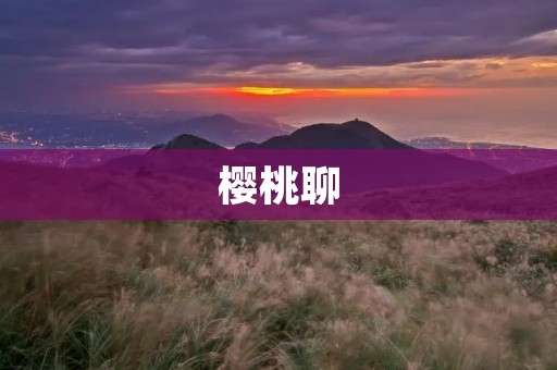 樱桃聊：打开心扉，畅享真实而温暖的交流