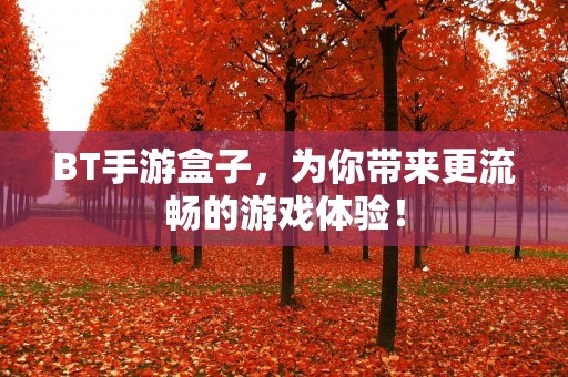 BT手游盒子,为你带来更流畅的游戏体验! BT手游盒子,为你带来更流畅的游戏体验!
