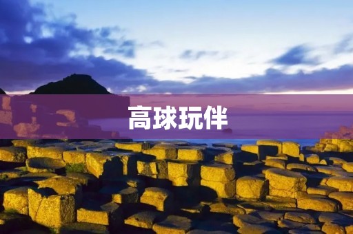 高球玩伴：挥杆间的友谊